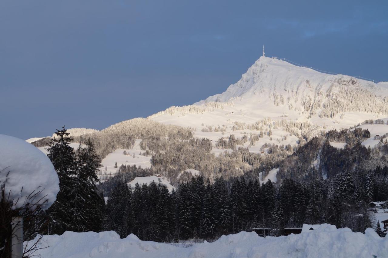 Villa Kitzbuehel Kirchberg en Tyrol Extérieur photo